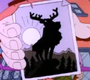 Moose Country