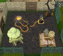 Volcanic habitat