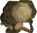 Neil