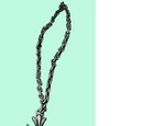 Anne's Cross