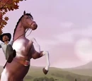 Horse