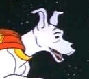 Krypto