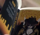 Melody Malone: Private Detective in Old New York Town