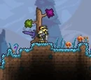 Light's Bane