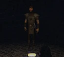 City Watch Guard