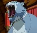 Snowmeow (2011 TV series)