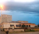 Saktraktori