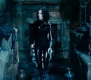 Thomas's Coven