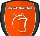 HC Schwaz
