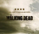 Season 2 (TV Series)