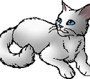 Frostfur