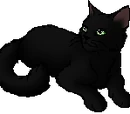 Hollyleaf