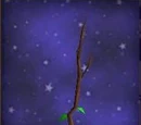 Fairy's Wand