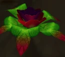 Serpentbloom