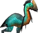 Tallstrider
