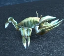 Rotting Crawler