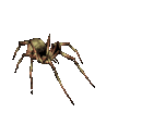 Venom spider