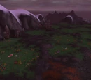 Steppe of Life