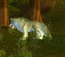 Mangy Silvermane