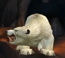 Orsonn