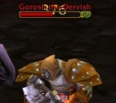 Gorosh the Dervish