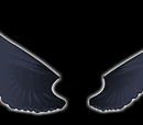 Grim Feathers