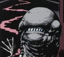Bodyburster