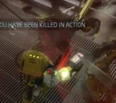 Friendly Fire