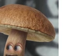 Mushroom