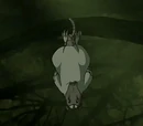Possum chicken
