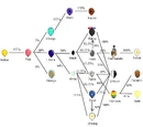 Evolution Bloon