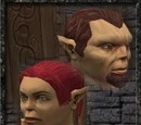 Firbolg