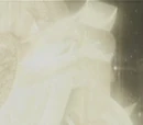 Grand Cross