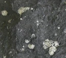 Andesita