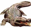 Deinosuchus