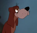 Bruno (disambiguation)