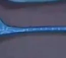 Huntstaff