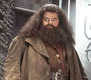 Robbie Coltrane
