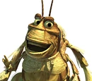 Molt