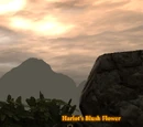 Herbalist's Tasks (Act 2)