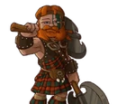 Scottish Warrior Costume