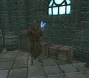 Arniel's Endeavor