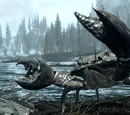 Mudcrab