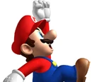 New Super Mario Bros. Omega/List of Power-Up Forms