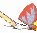 Tupandactylus