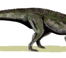Baurusuchus
