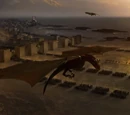 Dragons