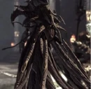 Myrrah's back.jpg