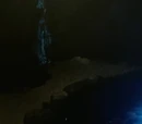 Season 1: Episode 01: Metamorphosis