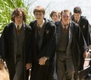 Maraudeurs